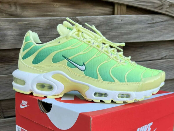 Les sorties Nike TN Air Max Plus 2024 : quelles sont les releases à venir ?