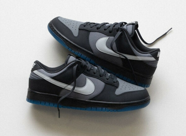 Nike Dunk Low Anthracite Staple Pigeon FV0384-001