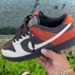 Nike Dunk Low Red Panda Velvet Brown Rugged Orange FV0395 (couv)