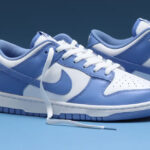 Nike Dunk Low Retro Polar Blue