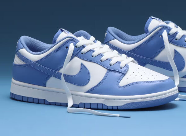 Polar Blue Nike Dunk Low Retro Bleu Polaire BTTYS DV0833 400 couv 600x437