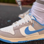 Nike Dunk Low Athletic Department University FN7488-133