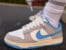 Nike Dunk Low Athletic Department University FN7488-133