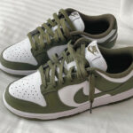 Nike Dunk Low Medium Olive 2023 DD1503-120 (couv)