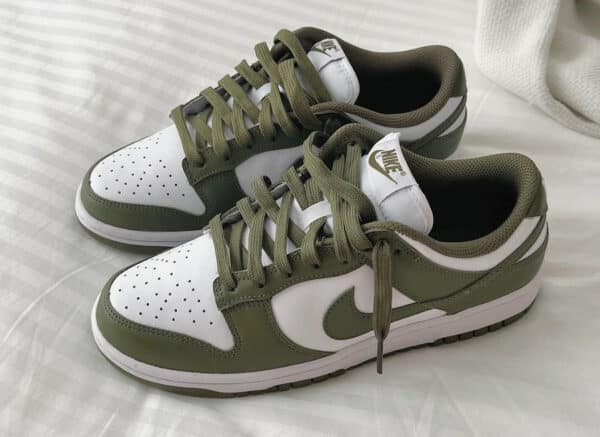 Nike Dunk Low Medium Olive 2023 DD1503-120 (couv)