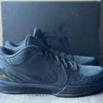 Nike Kobe 4 Protro Gift of Mamba FQ3544-001