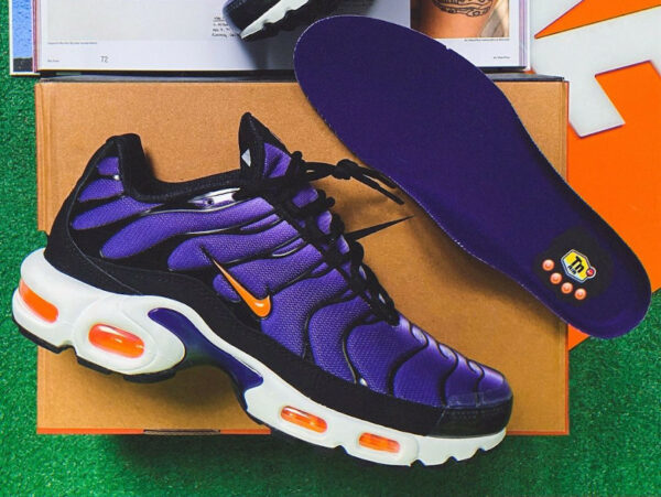 Les sorties Nike TN Air Max Plus 2024 : quelles sont les releases à venir ?