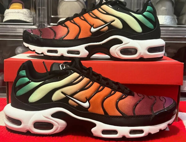 Nike Air Max Plus Rainbow 2024 DZ3670 001 couv 600x459