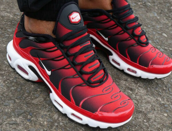 Chaussure Nike Air Max Plus pour homme