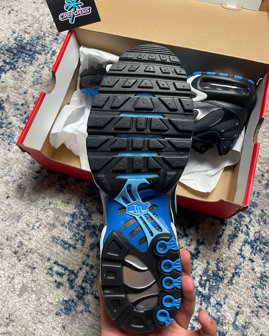 Nike Air Max Plus noire et bleu marine (2)
