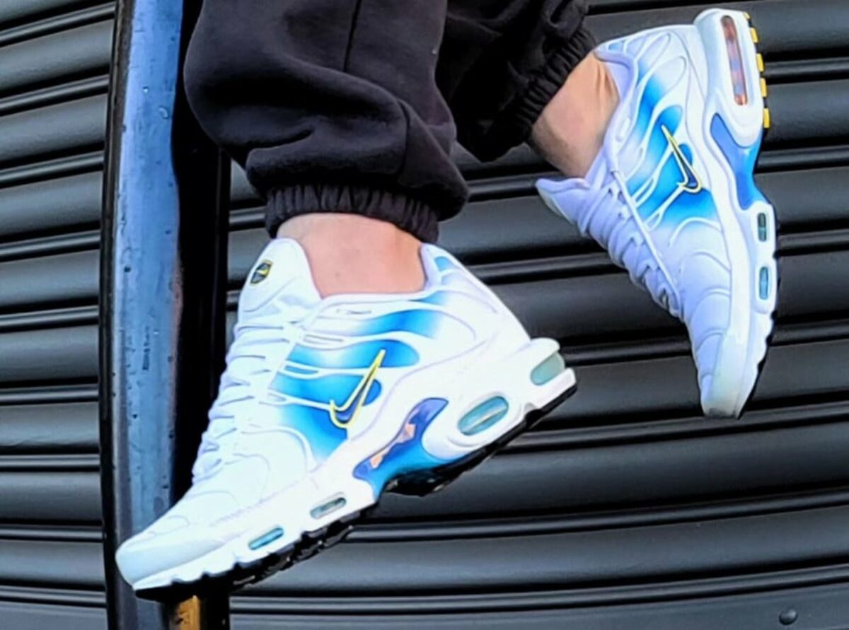nike air max baleine