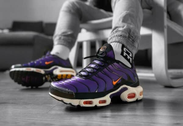 comment taille les Nike Air Max Plus 600x413