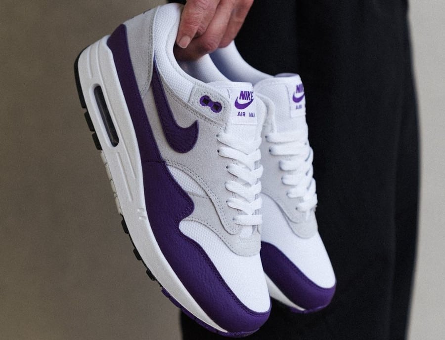 Nike Air Max 1 Violet terrain DZ4549-101 (3)