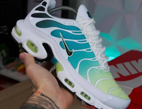 Nike Air Max Plus Dusty Cactus Barely Volt (couv)