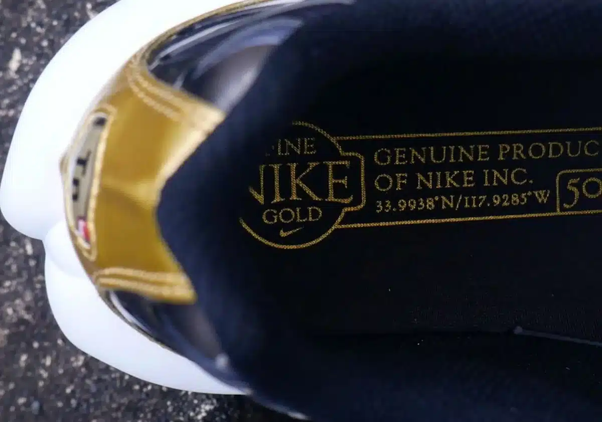 Nike Air Max Plus FL 50 ans dégradé noir blanc doré (1)