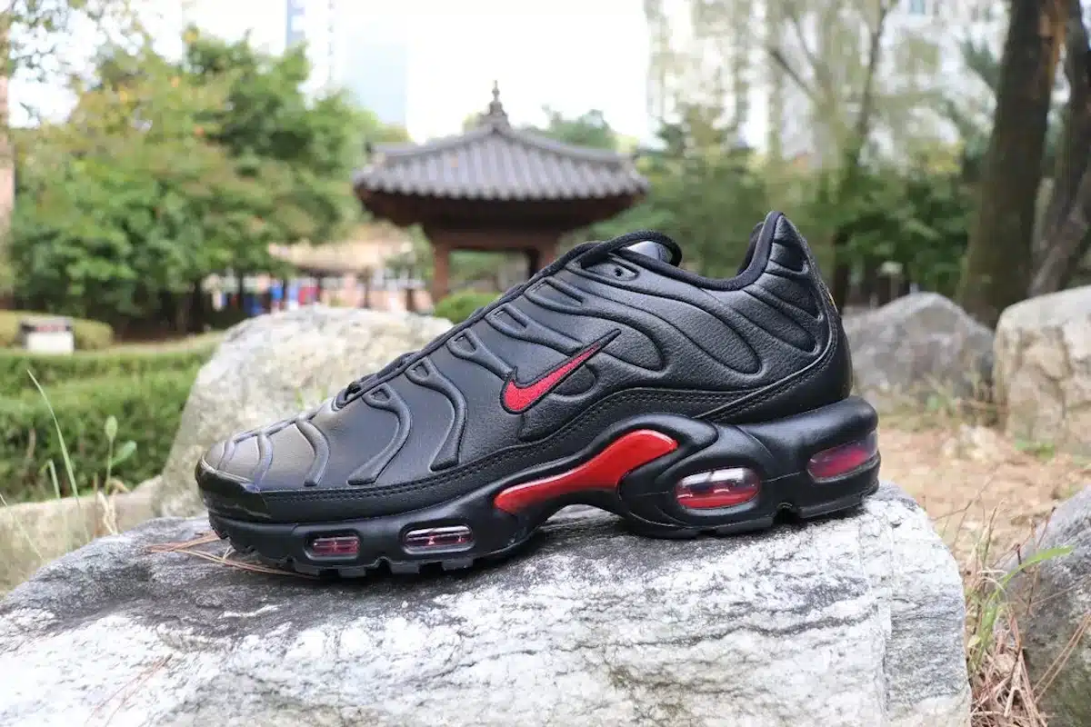 Nike Air Max Plus TN1 Leather Bred Black ou la trouver