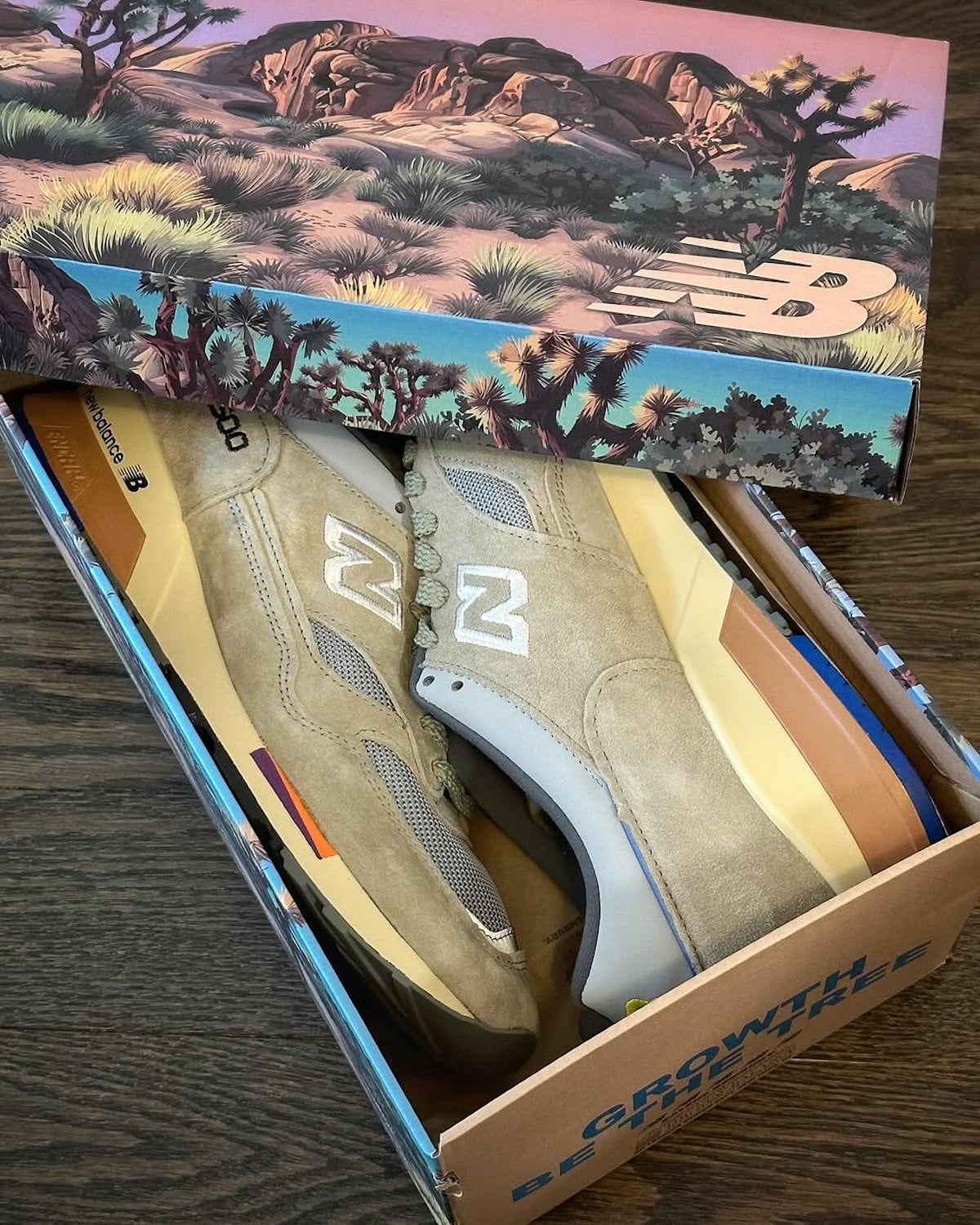 Boîte New Balance 1500 Salehe