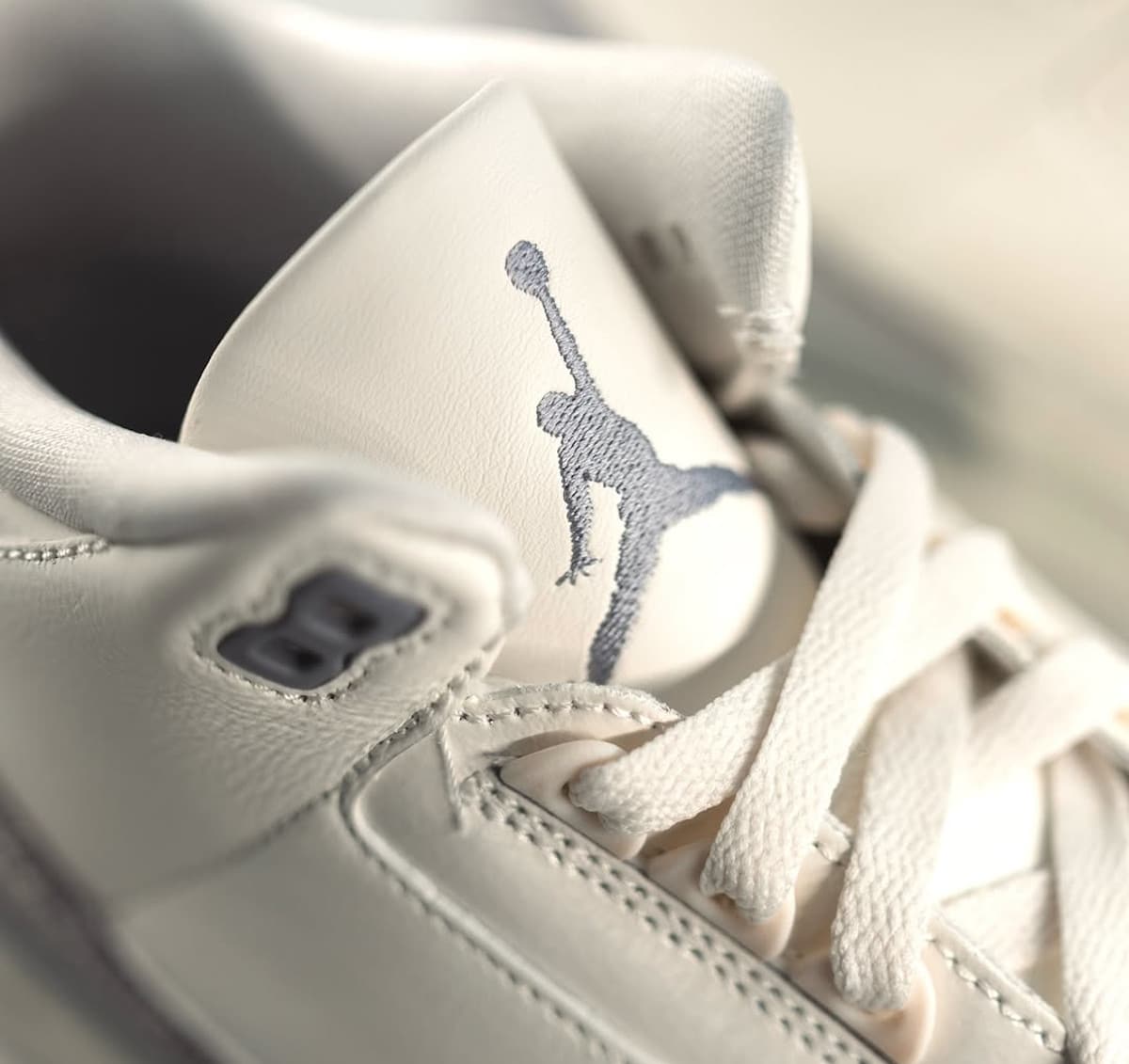Air Jordan 3 beige et imprimé éléphant argenté CK9246-100 (3)
