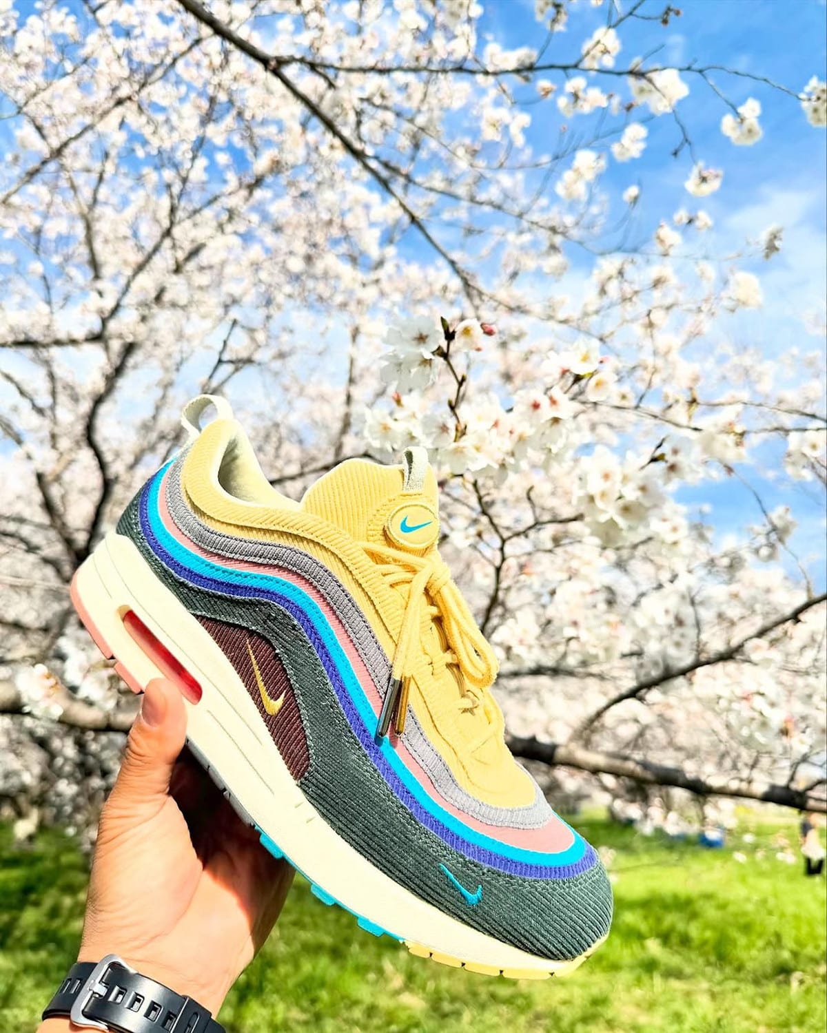 Nike Air Max 1 Sean Wotherspoon x Sakura @maythe4th81