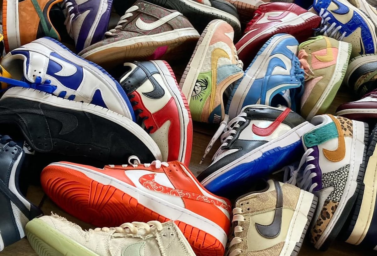 Nike Dunk déclin (couv)