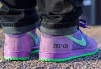 Nike SB Dunk High Mouffette violette et verte CW9971-500 (couv)