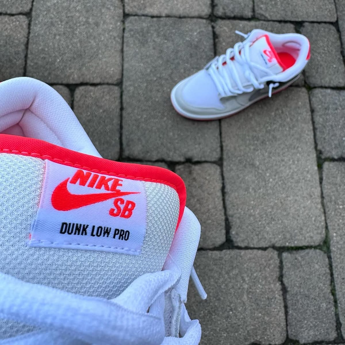 Nike SB Dunk Low Pro Infrared (1)