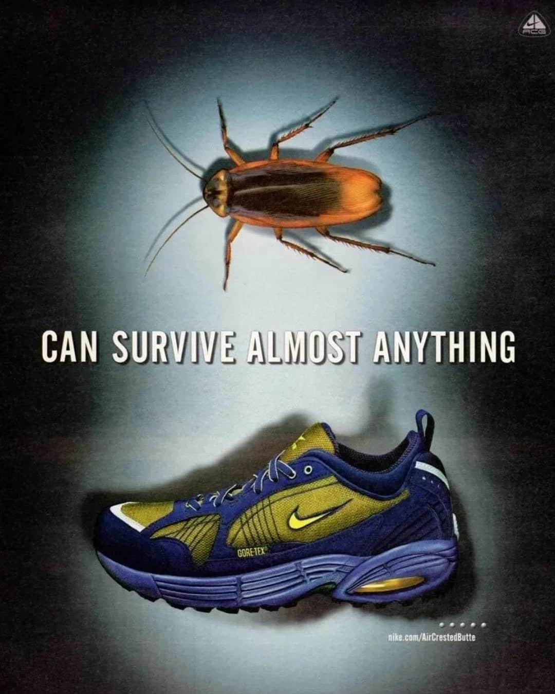 Publicité Nike Air Crested Butte des années 1999 2000 (1)