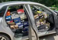 Déménagement sneakers ntweed44 (couv)