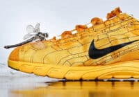 Histoire Nike Mayfly (couv)