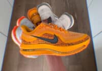 Nike Pegasus Premium Mayfly IH3256-700 (couv)