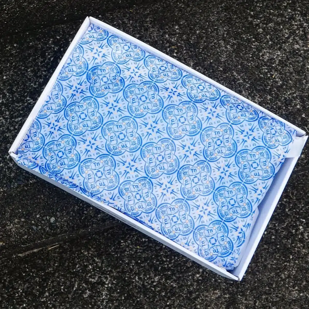 Nike Air Max Plus Lisboa on feet IM5982-100 (1)