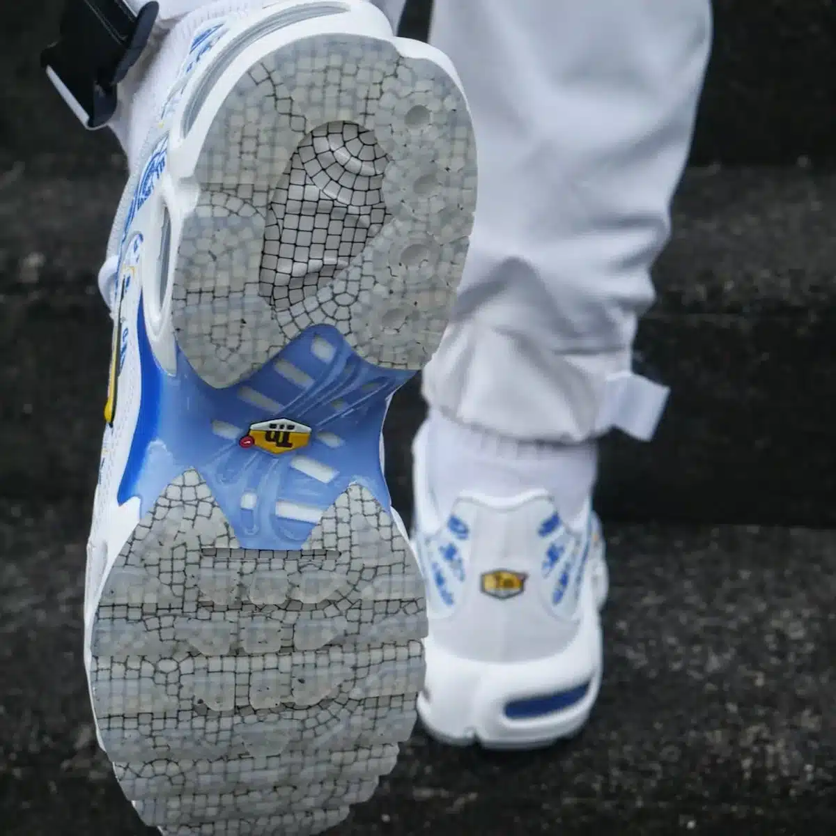 Nike Air Max Plus Lisboa on feet IM5982-100 (2)