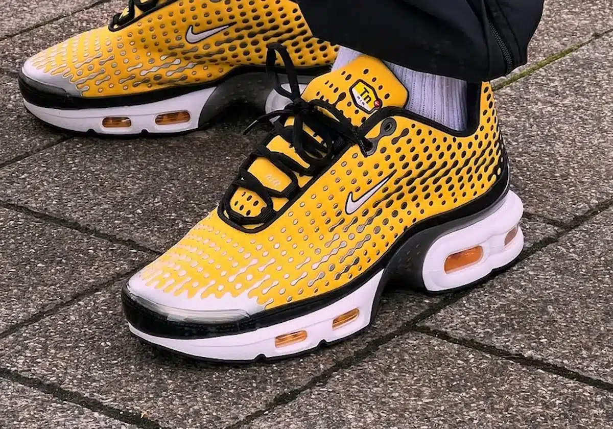 Avis Nike Air Max Plus 7 (couv)