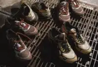 HAL Studios x Asics Gel-NYC 2.0 SSHS (couv)