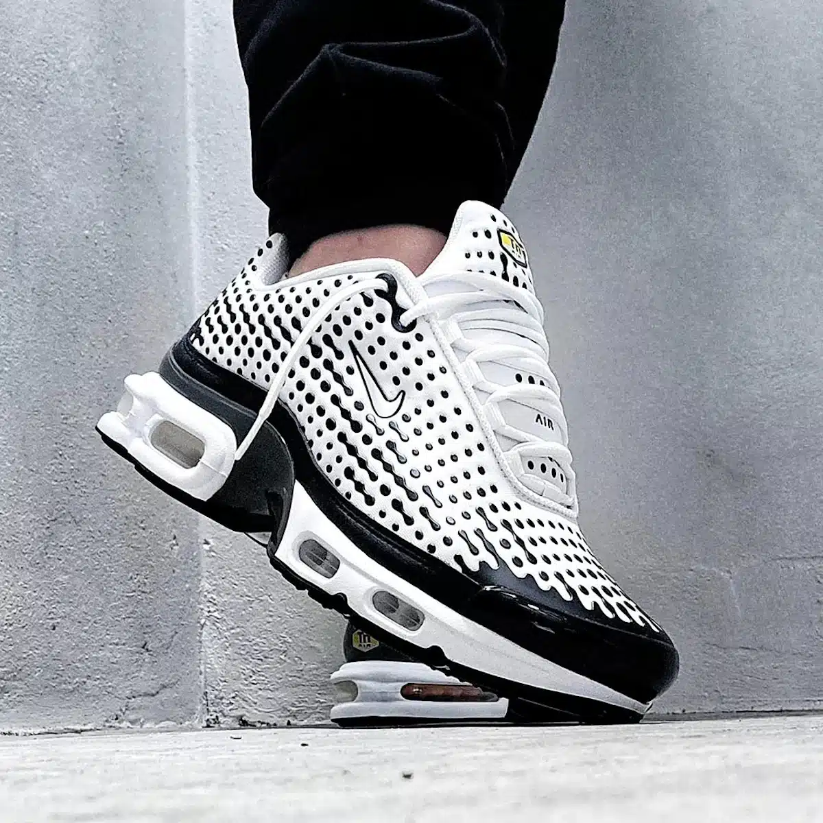 Nike Air Max Plus VII Panda (HQ2197-100)