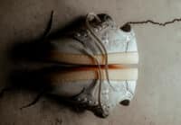 Air Jordan 1 Low Floral Swoosh fleurs brodées sortie 2026 IF4391-100 (couv)