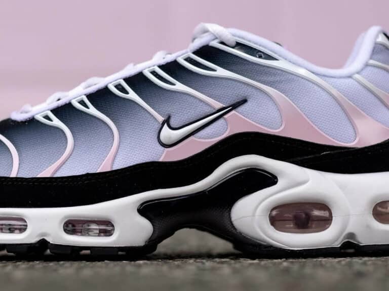 Nike Air Max Plus grise noire et rose IU7540-001 (couv)