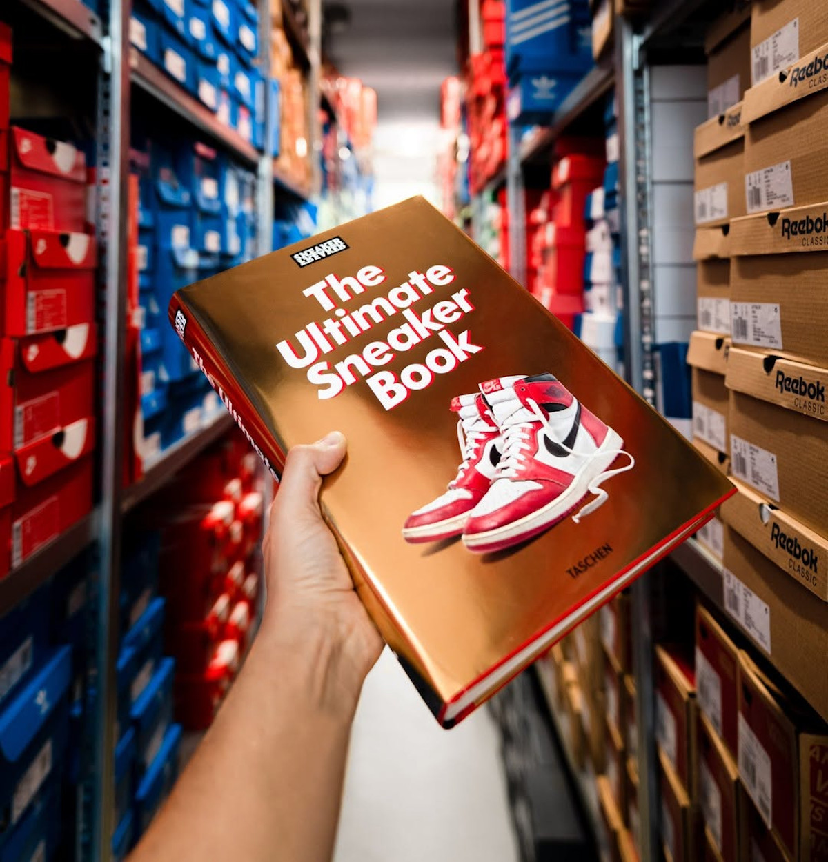 livres sneakers