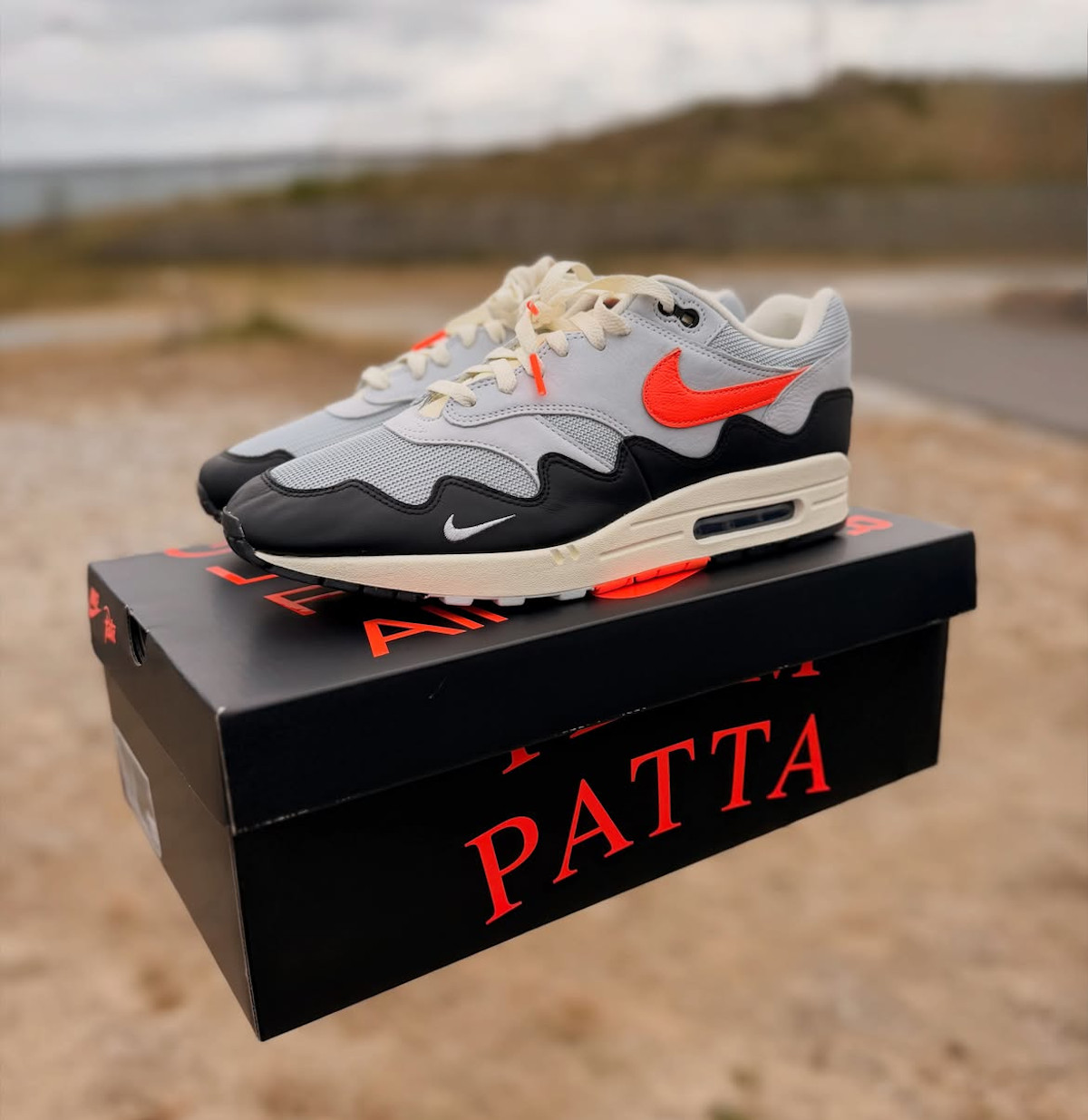Patta x Nike Air Max 1 Wave F&F (1)
