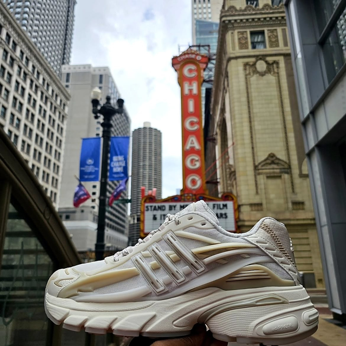 adidas Jellyfish blanche KH6730 (1)