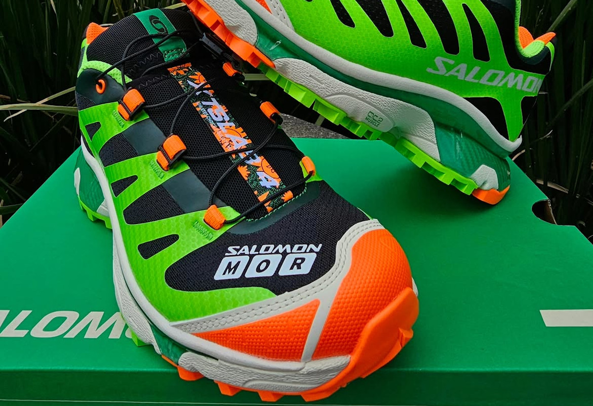 sneakers salomon (couv)