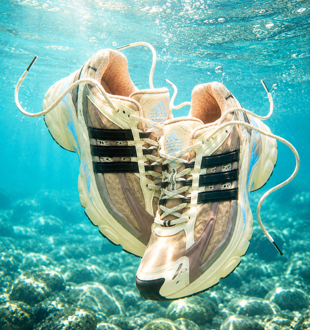 adidas Adistar Jellyfish beige couverture